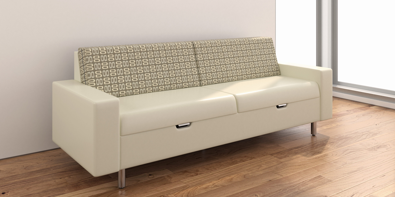 sleeper sofa