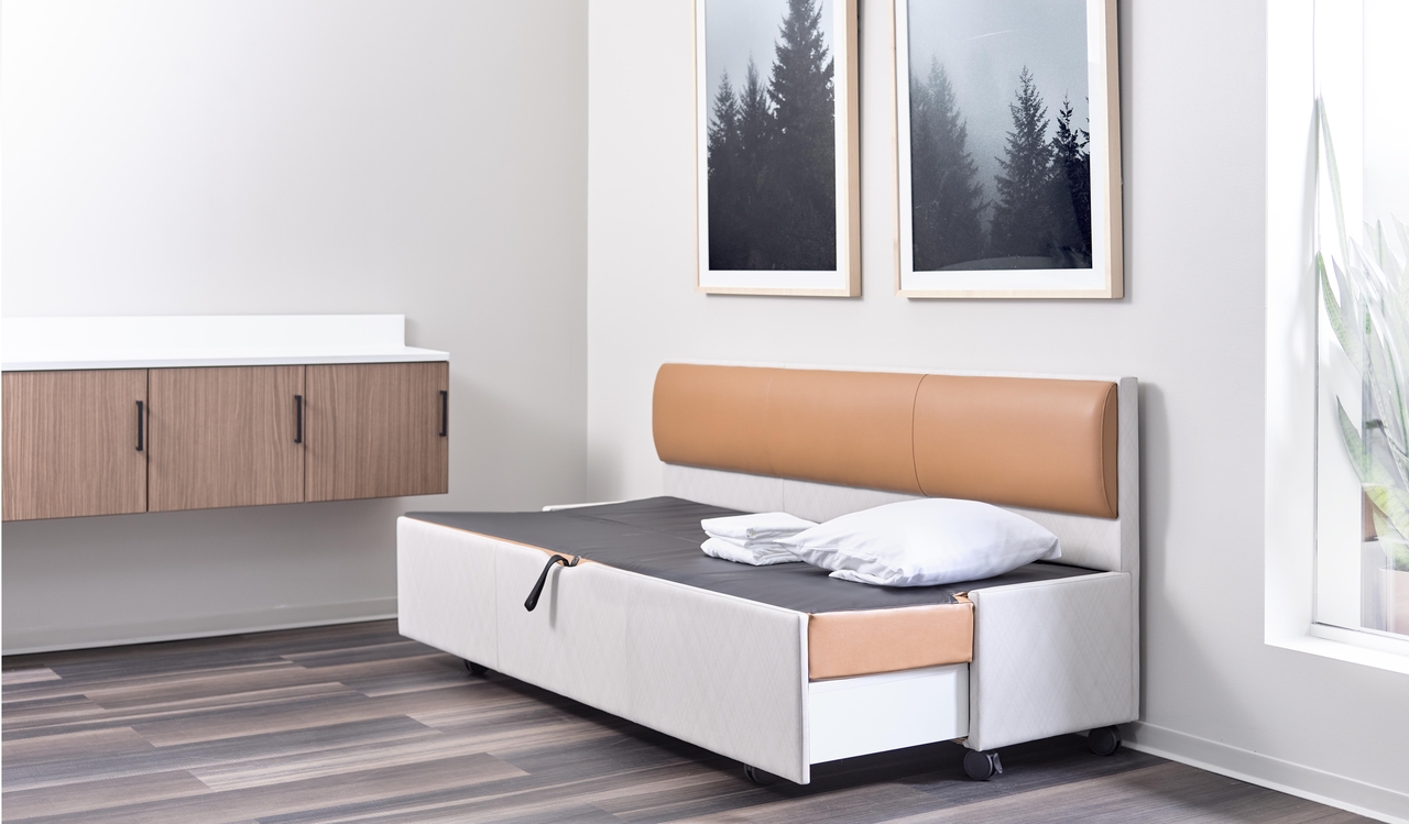sleeper sofa for hospital