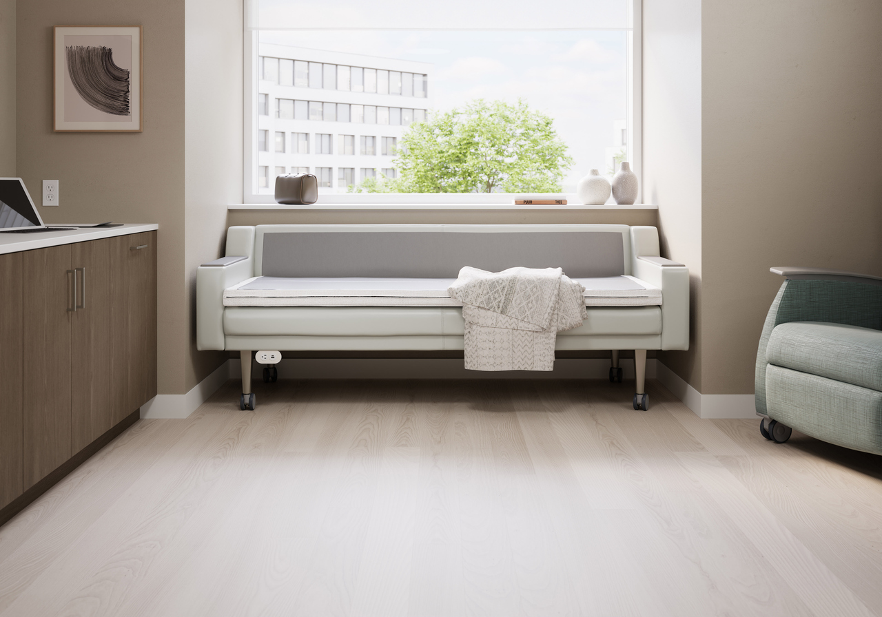 sleeper sofa