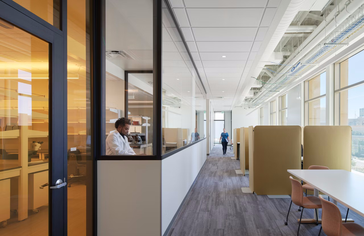 room dividers 3